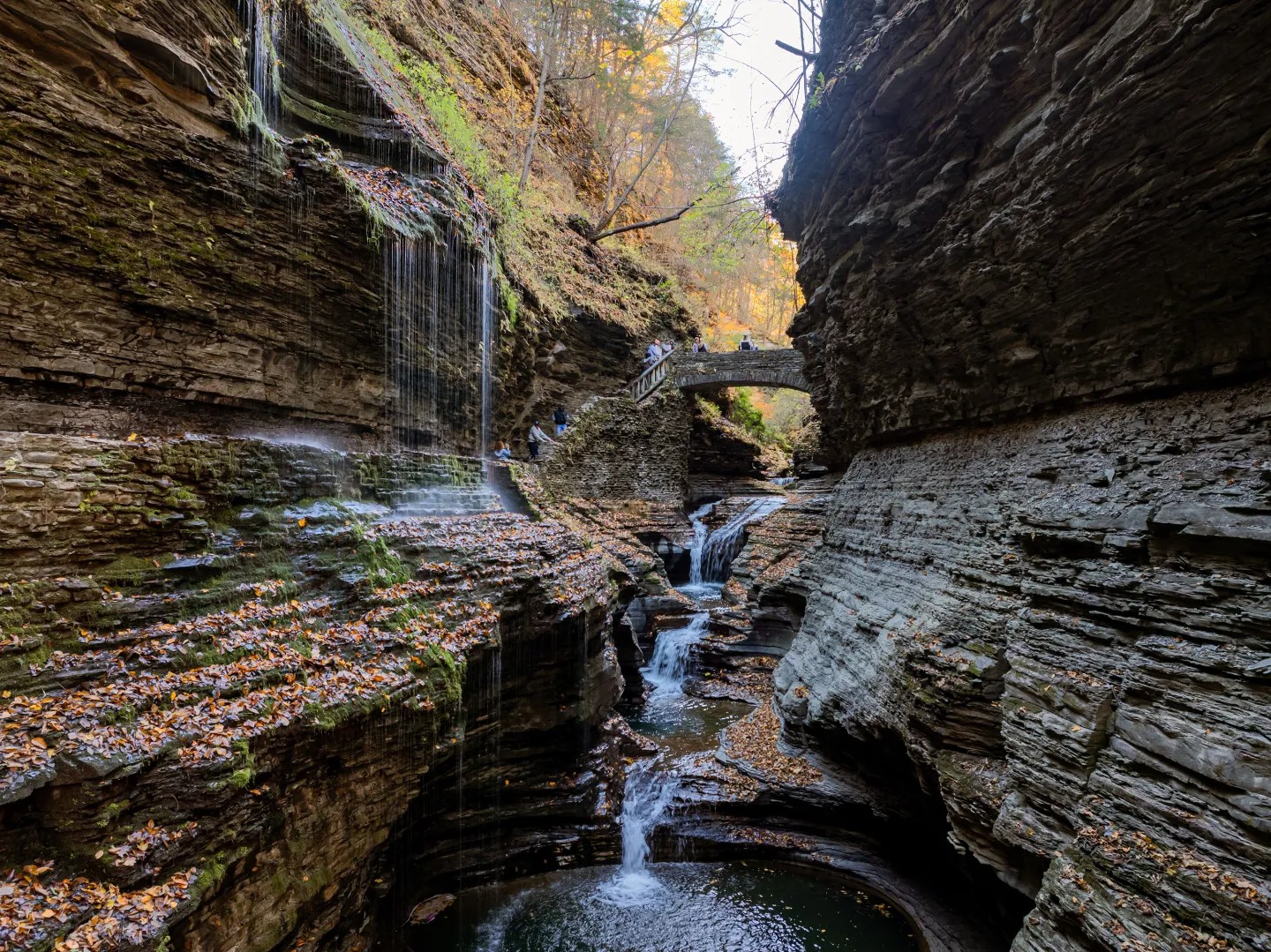 Watkins Glen